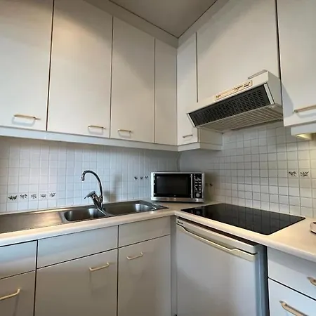 Apartment Sfeervol Met Zeezicht *